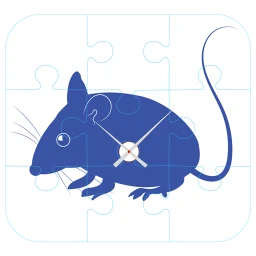 Icono de WIN R.A.T PUZZLE